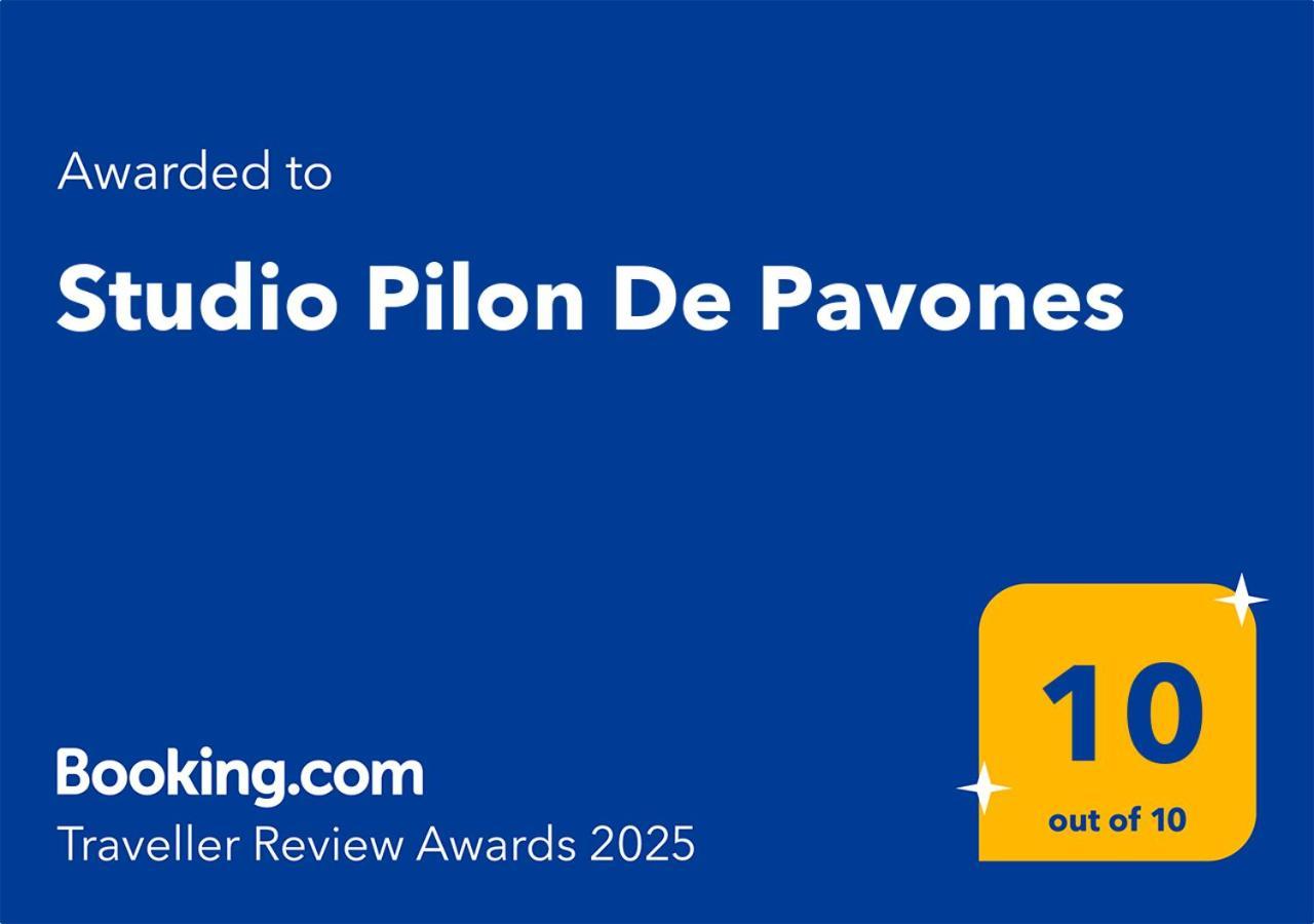 Studio Pilon De Pavones ปาโวเนส ภายนอก รูปภาพ